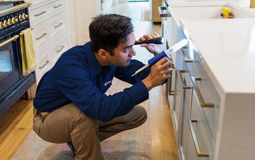 Image for KC Pest Experts with ID of: 5235819