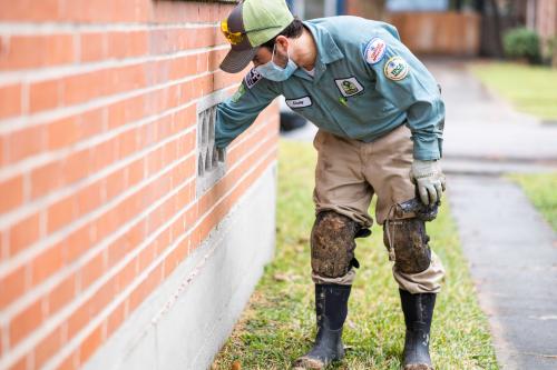 Image for Natran Green Pest Control with ID of: 5239253