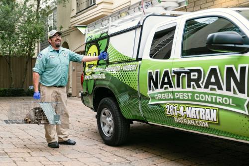 Image for Natran Green Pest Control with ID of: 5239254