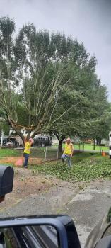 Image for Fox's Precision Tree Service with ID of: 5241107