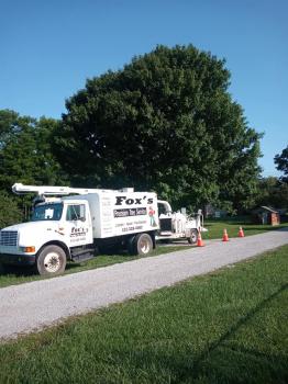 Image for Fox's Precision Tree Service with ID of: 5241108