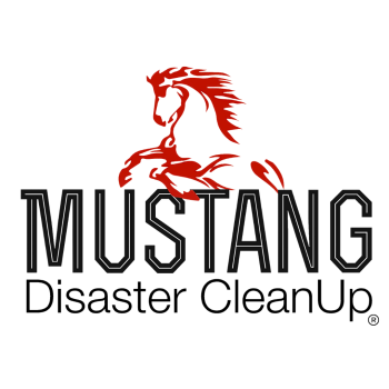 Image for Mustang Disaster CleanUp with ID of: 6266623