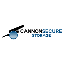Image for Cannon Secure Storage with ID of: 6266665