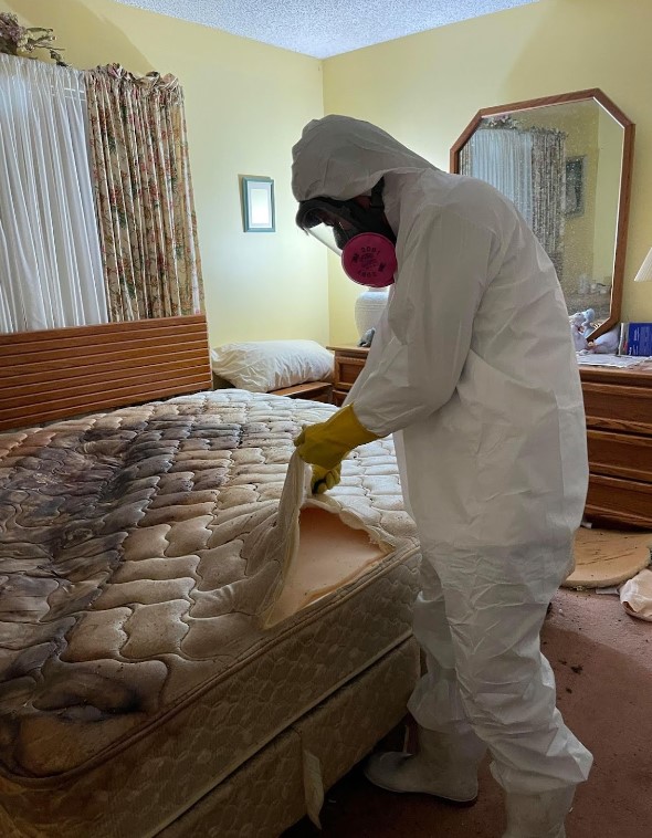 Image for Florida Emergency Cleaning, LLC with ID of: 5244048