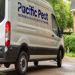 Image for Pacific Pest Management with ID of: 5245414