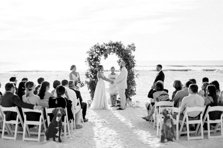 Image for DiBOX events with ID of: 5246394