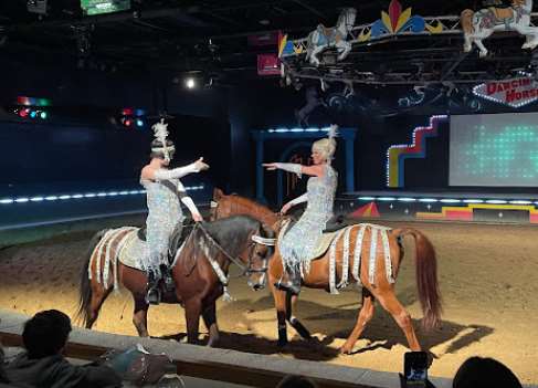 Image for The Dancing Horses Theatre with ID of: 5246830