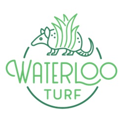 Image for Waterloo Turf with ID of: 6270155