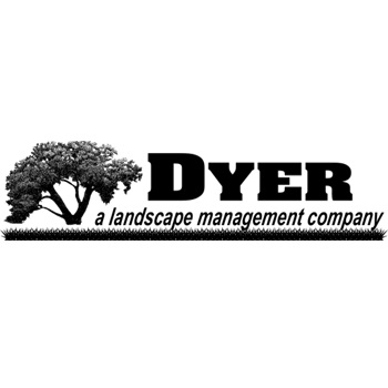 Image for Dyer Landscape with ID of: 6270984