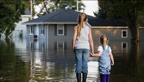 Image for Foundation Insurance Group with ID of: 5253842
