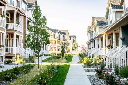 Image for BLVD Builders with ID of: 5254903