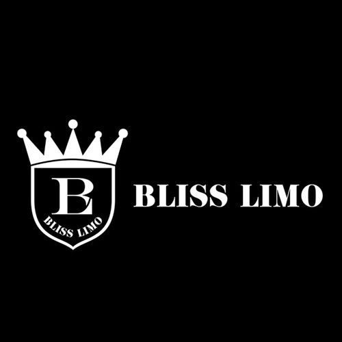 Image for Bliss Limo Florida with ID of: 6275123