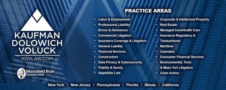 Image for Kaufman Dolowich & Voluck, LLP with ID of: 5256158