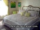 Image for Hannibal Garden House Bed & Breakfast with ID of: 628039