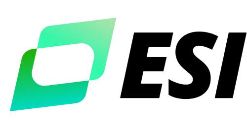 Image for ESI - eEmployers Solutions, Inc. with ID of: 6281068