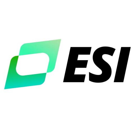Image for ESI - eEmployer's Solutions Inc with ID of: 6281303