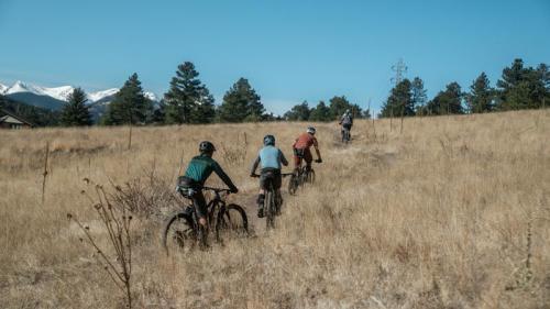 Image for Alchemy Bikes with ID of: 5265375