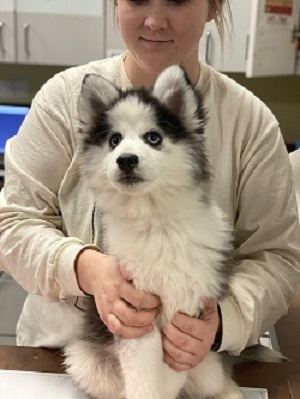 Image for Back Bay Veterinary Clinic with ID of: 5265422