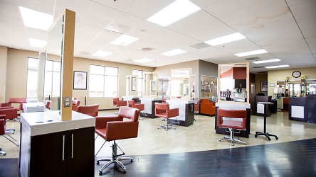 Image for Salon Success Academy with ID of: 5266738