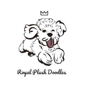 Image for Royal Plush Mini Goldendoodles with ID of: 6283098
