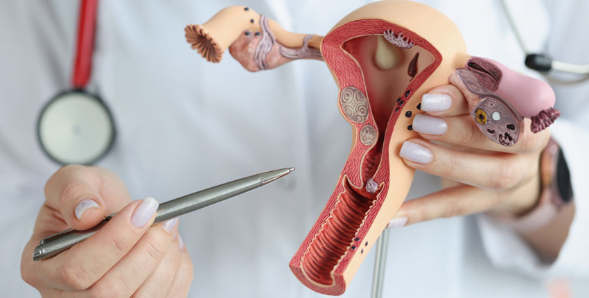 Image for When to Consider a Colposcopy: Warning Signs Your Cervix Wants You to Pay Attention with ID of: 6284082