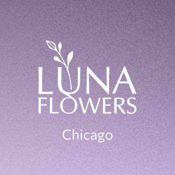 Image for Luna Flowers with ID of: 6284787