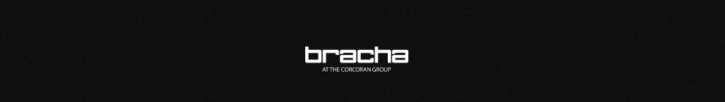 Image for The Bracha Team at Corcoran with ID of: 5270287