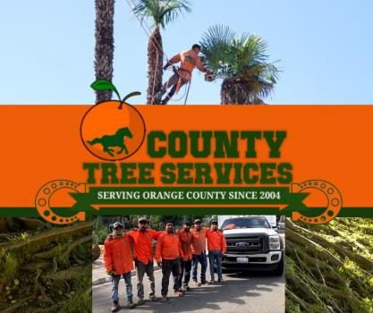 Image for Orange County Tree Services with ID of: 5274973
