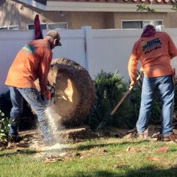 Image for Orange County Tree Services with ID of: 5274975