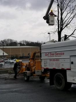 Image for GnT Tree Service with ID of: 5275736