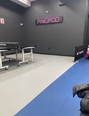 Image for PingPod with ID of: 5275800