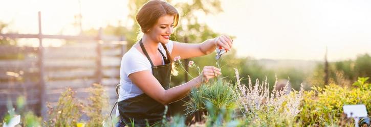 Image for Gateway Home & Garden Center with ID of: 5277908