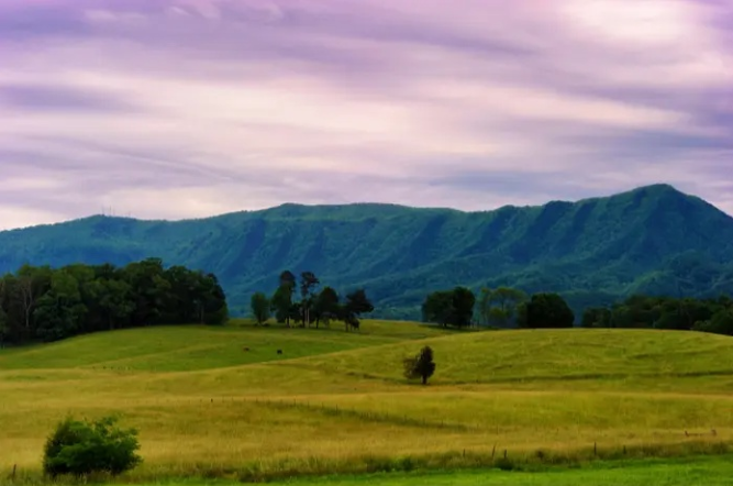 Image for Resurgence Tennessee with ID of: 5279306