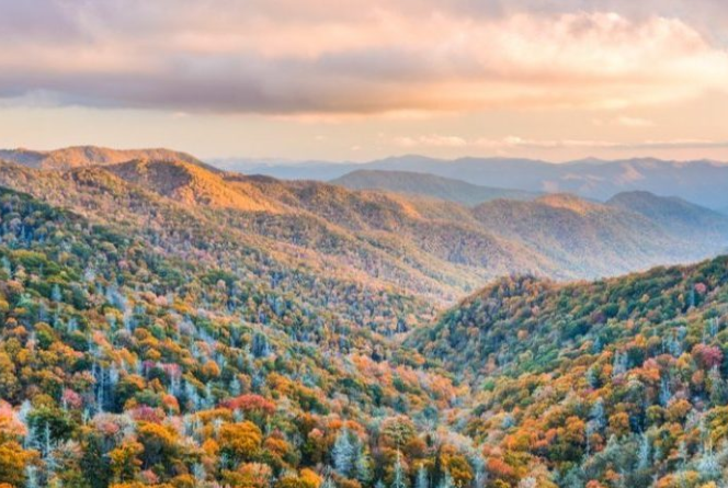 Image for Resurgence Tennessee with ID of: 5279307