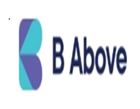Image for B Above Services with ID of: 6291997