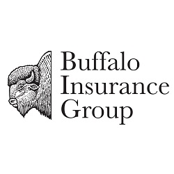 Image for Buffalo Health Advisors with ID of: 5280526
