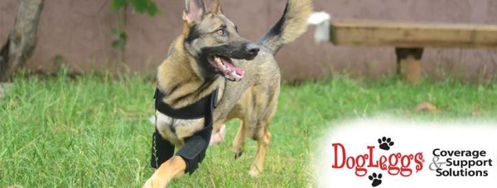 Image for DogLeggs with ID of: 5280696