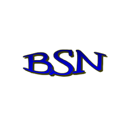 Image for BSN Construction, Inc with ID of: 6293747