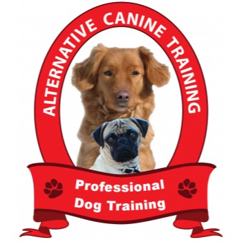 Image for Alternative Canine Training with ID of: 6297202