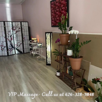 Image for VIP Massage with ID of: 5288597