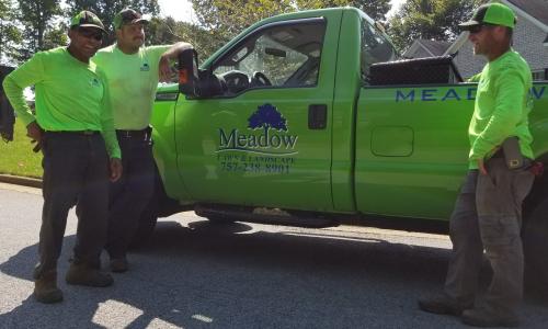 Image for Meadow Lawn & Pest with ID of: 5292535