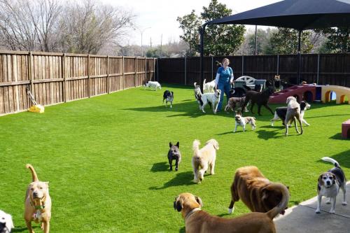 Image for Arlington Turf Installers with ID of: 5293368