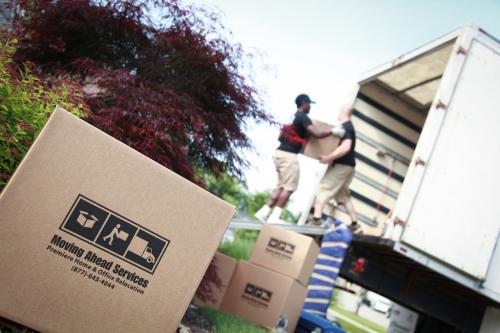 Image for Moving Ahead Services with ID of: 5300401