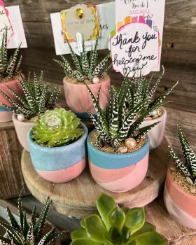 Image for Rooted Treasures Succulents with ID of: 5304485