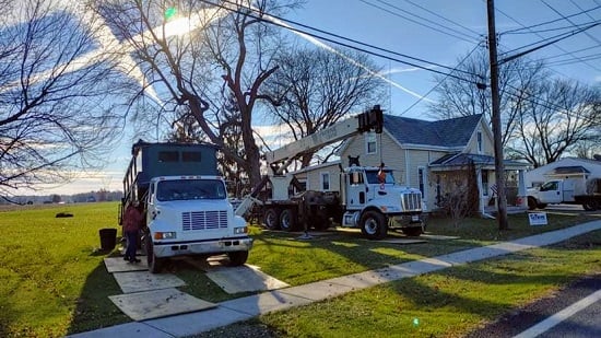 Image for Axtreme Tree Care with ID of: 5304647