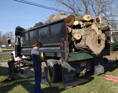Image for Axtreme Tree Care with ID of: 5304652
