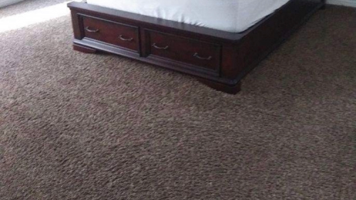 Image for Mr Clean Carpet Care with ID of: 5304907