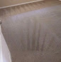 Image for Mr Clean Carpet Care with ID of: 5304911