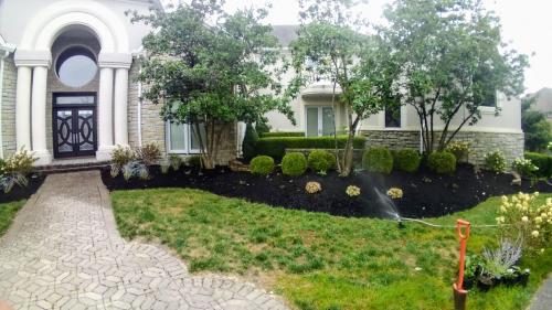 Image for Moon Lawncare and Landscaping with ID of: 5306104