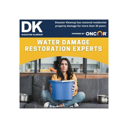 Image for Disaster Kleenup with ID of: 5308666